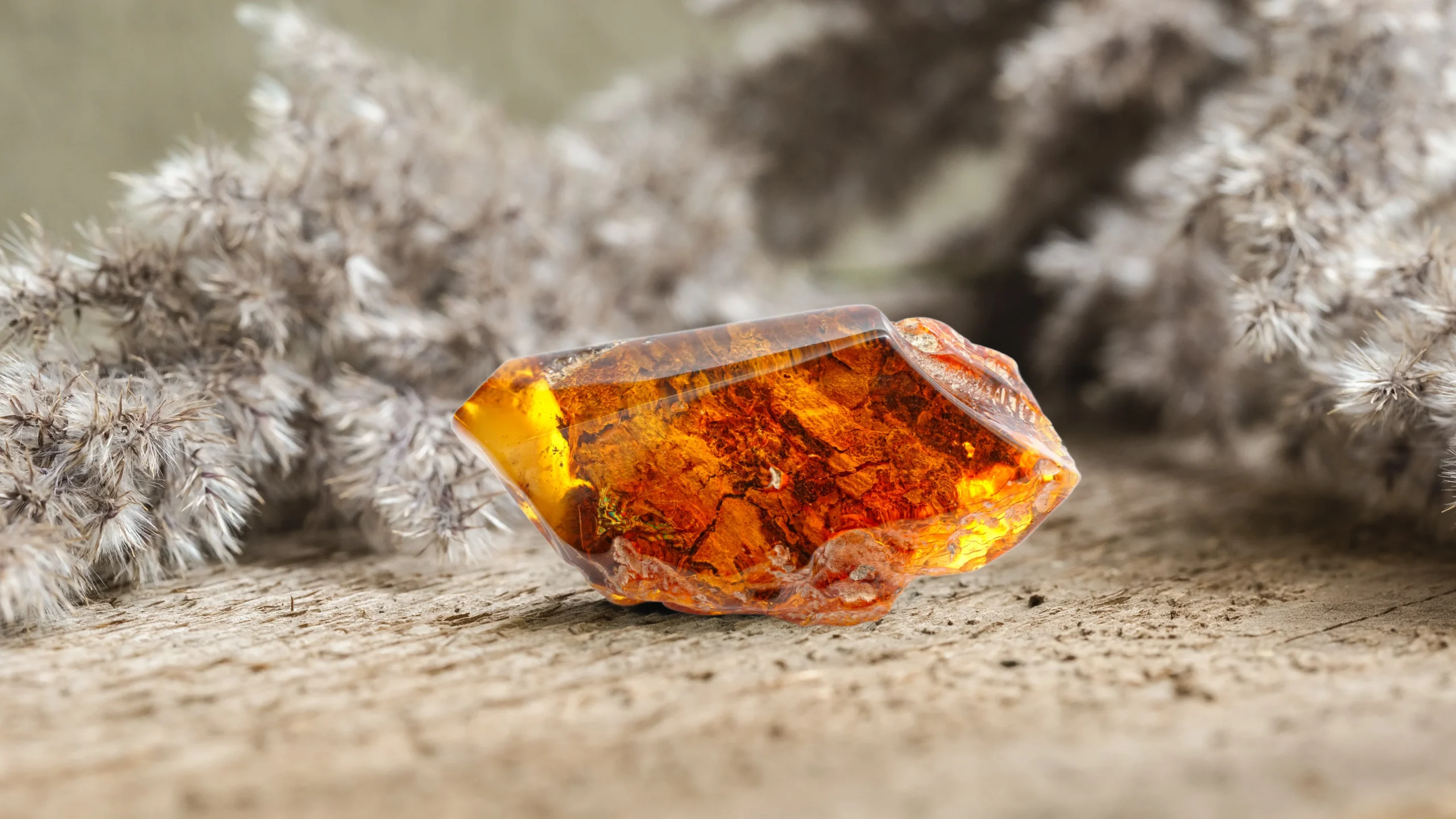 Raw amber gemstone with fiery hues on a wooden surface, surrounded by soft foliage