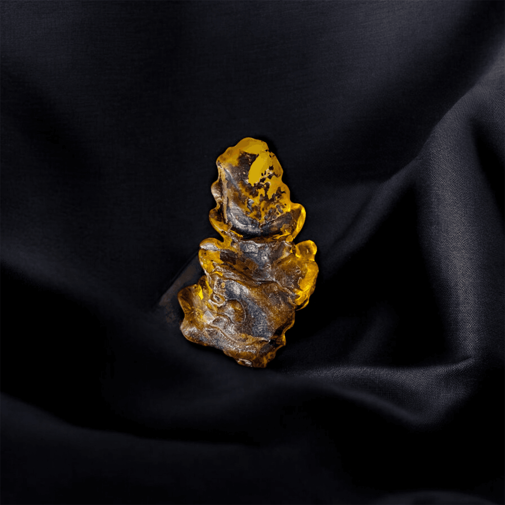 Unique Amber Forest Jewel nugget with intricate natural patterns