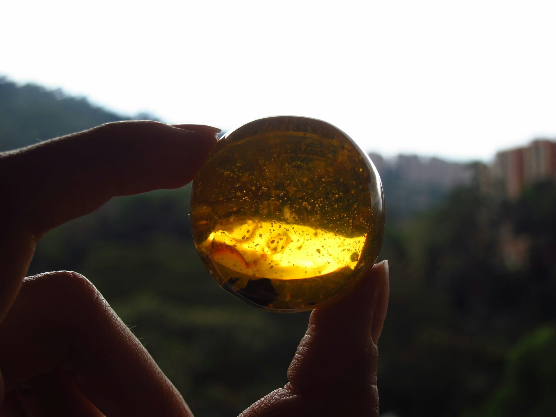 Polished amber stone glowing against natural sunlight